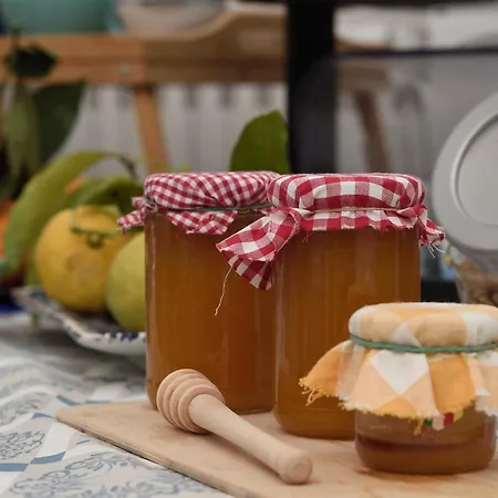 Bed and Breakfast Aquarius