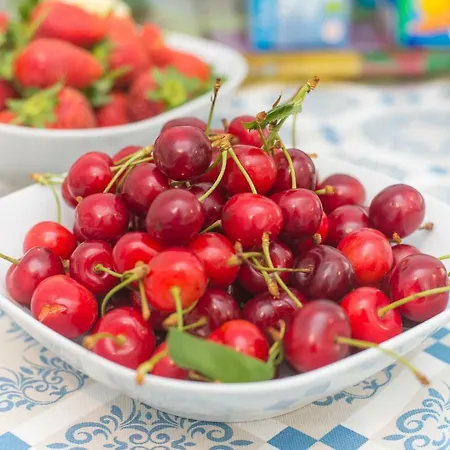 Bed & Breakfast Aquarius 3*