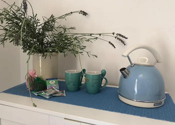 Aquarius 住宿加早餐酒店 3*