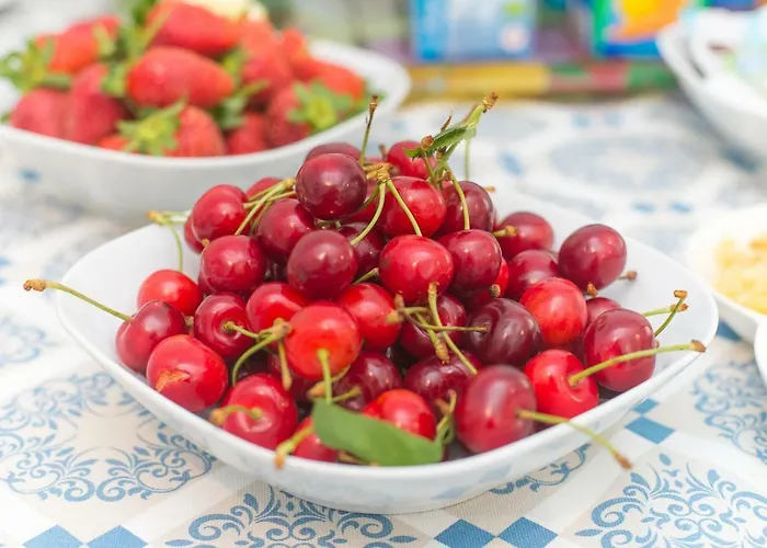 住宿加早餐酒店 Aquarius 3*